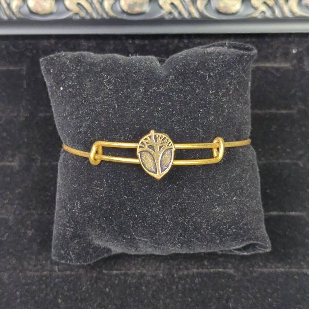Alex & Ani Unexpected Miracles Slider Bracelet Rafaelian Gold Finish Adjustable